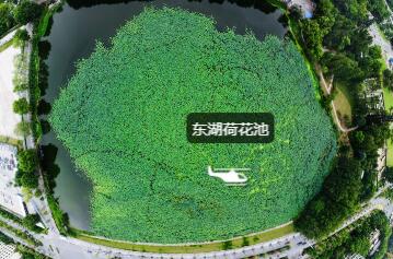 武汉东湖梨园航拍全景